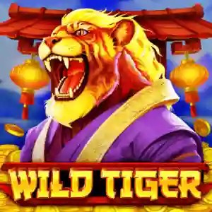 Wild Tiger slot icon by BGAMING, available at PlanBet Casino